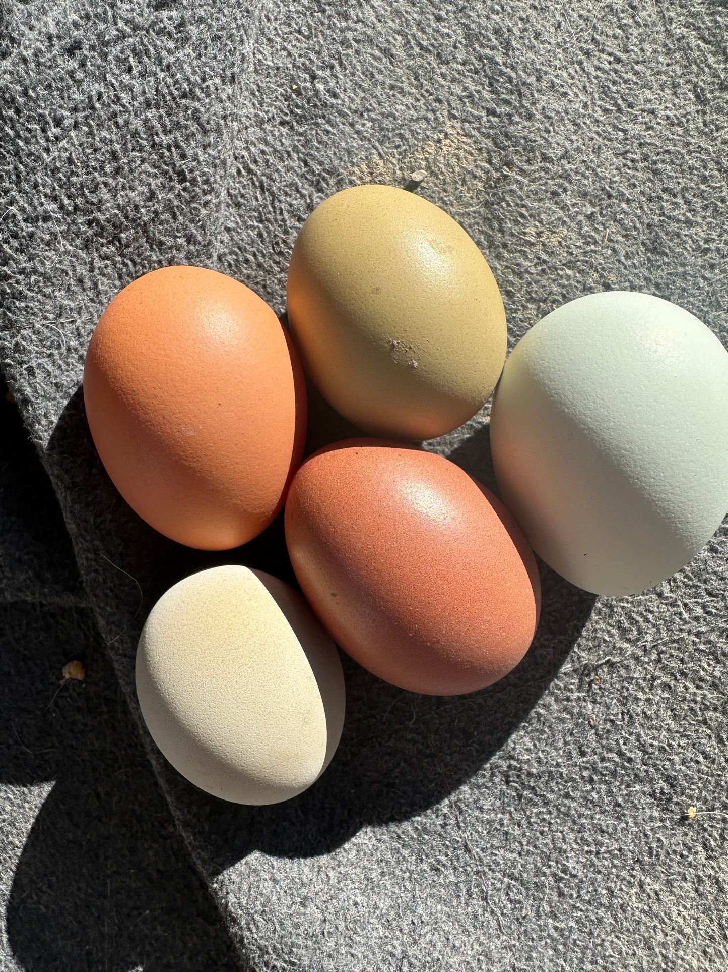 Eggs (dozen)