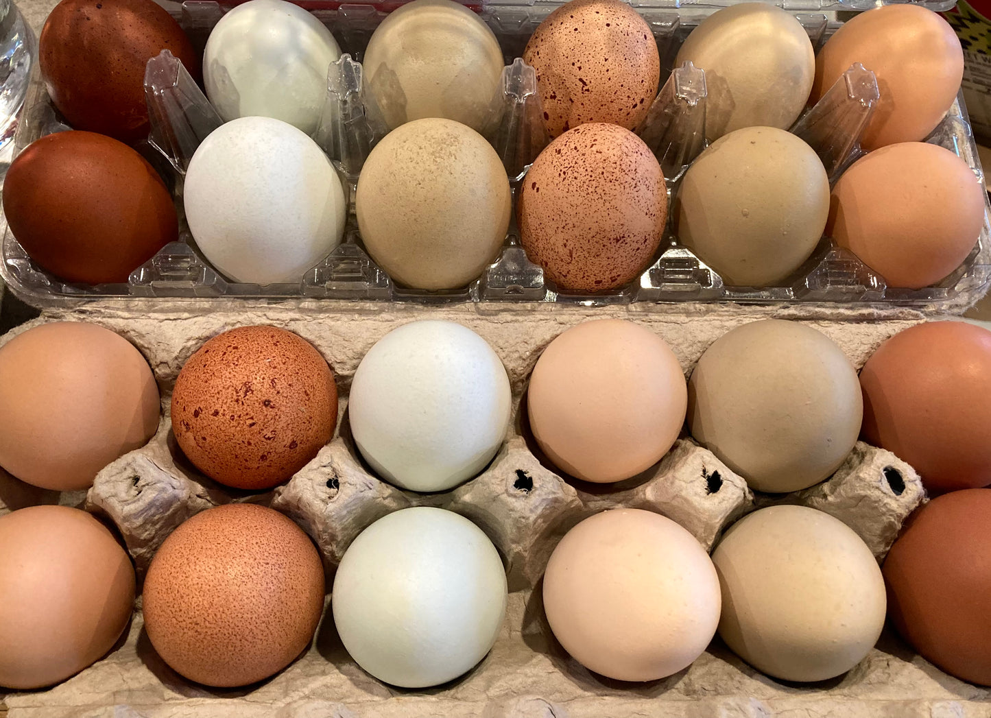 Hatching Eggs - Rainbow Basket