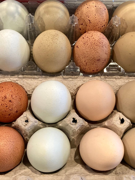 Hatching Eggs - Rainbow Basket